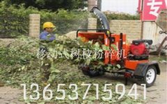 探索利鑫樹枝粉碎機(jī)的長遠(yuǎn)和持續(xù)的發(fā)展計(jì)劃